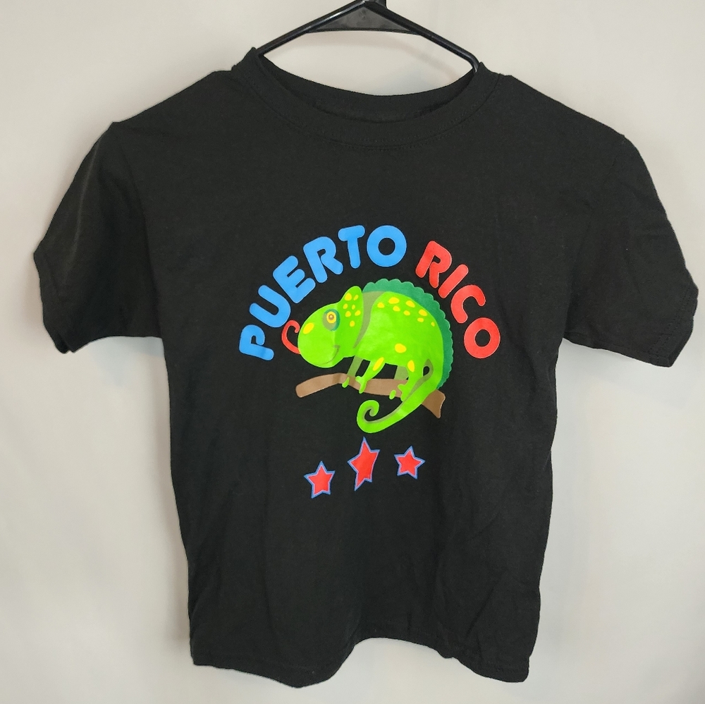 ⭐️ 5/$25 Hanes Puerto Rico Tshirt